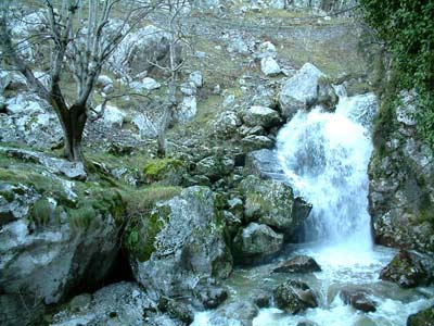 apartamento,cabrales,apartamentos,rural,rurales,en,de,cabrales apartamento,apartamentos,rural,rurales,cabrales